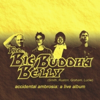 accidental ambrosia: a live album by The Big Buddha Belly